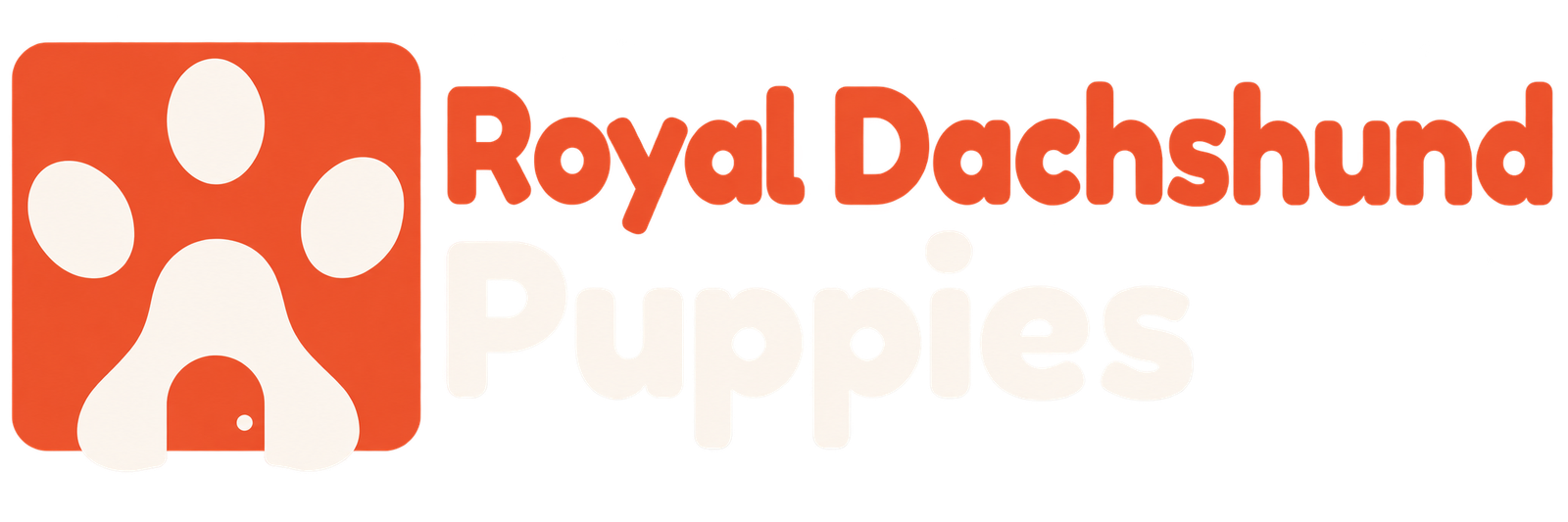 Royal Dachshund Puppies